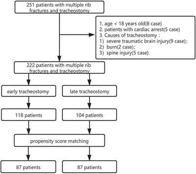 Prediction of factors influencing the timing and prognosis of early tracheostomy in patients with multiple rib fractures: A propensity score matching analysis